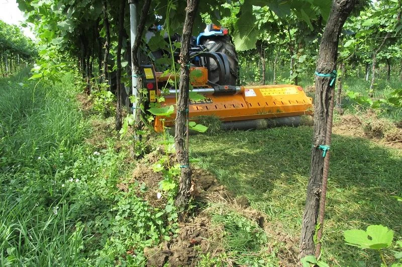 Vineyard-orchard mulchers